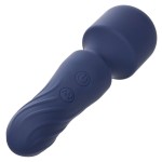 CALEXOTICS - CHARISMA CHARM HIERING 12 FUNCTIONS PURPLE
